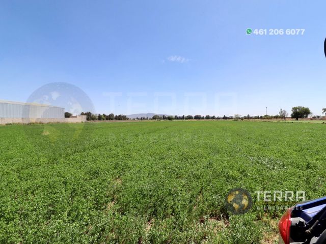 place photo 62