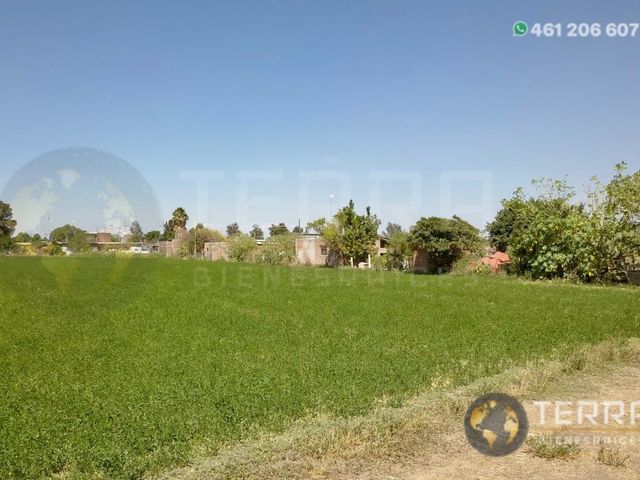 place photo 51