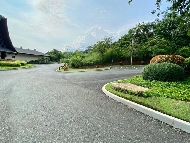 place photo 43