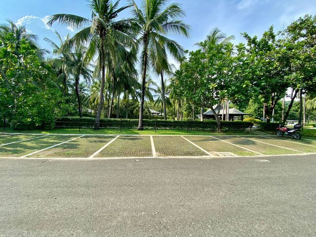place photo 44