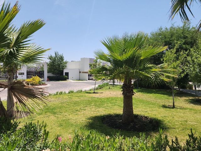 place photo 71