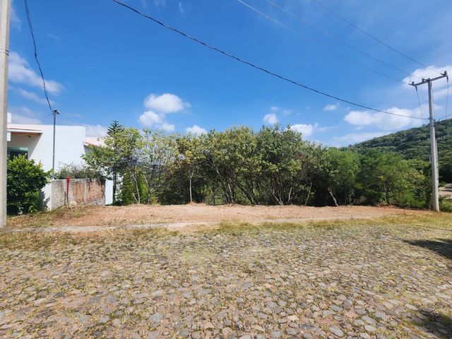 place photo 25