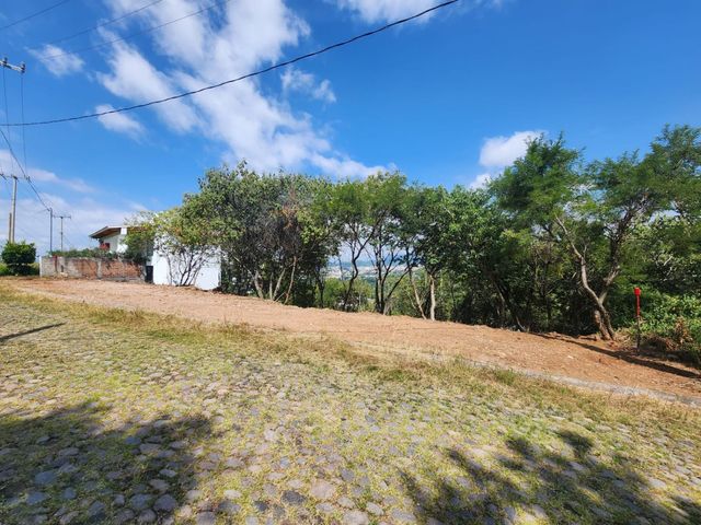 place photo 27