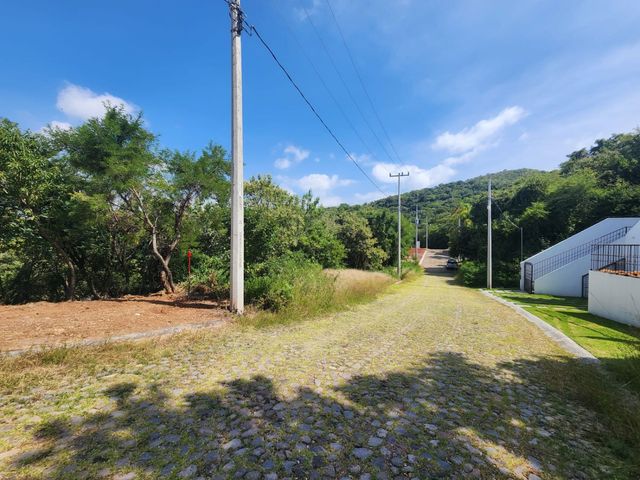 place photo 29