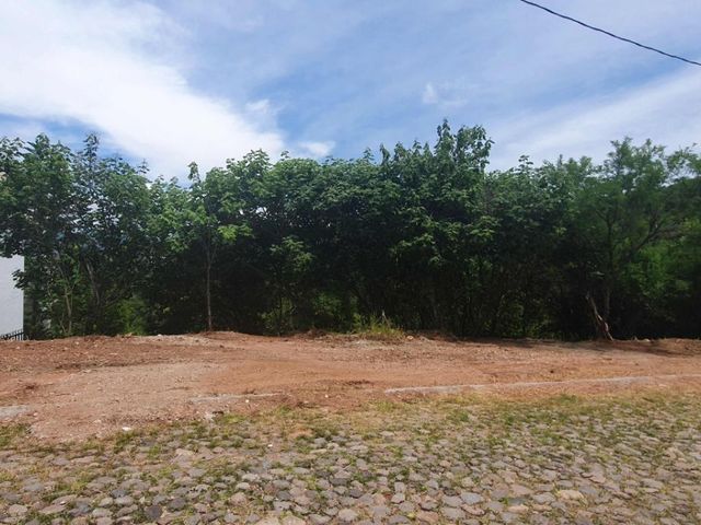 place photo 33