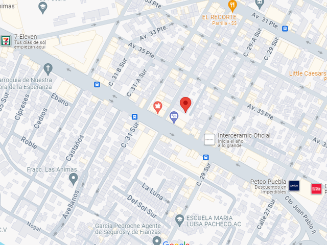 place photo 5