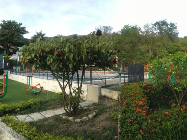 place photo 15