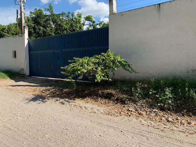 place photo 36