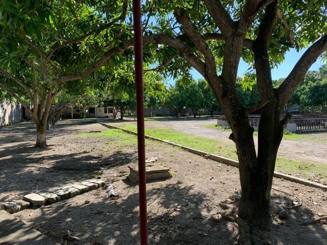 place photo 33