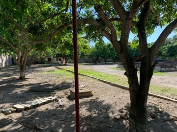 place photo 33