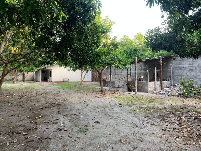 place photo 19