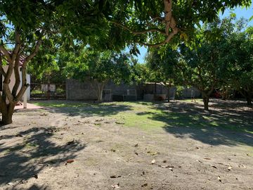 place photo 28