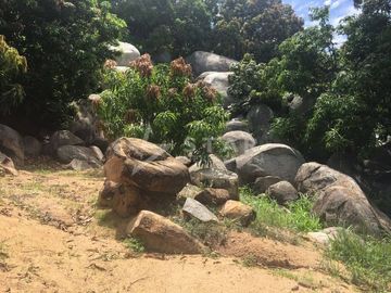 place photo 15