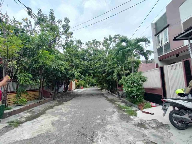 place photo 26