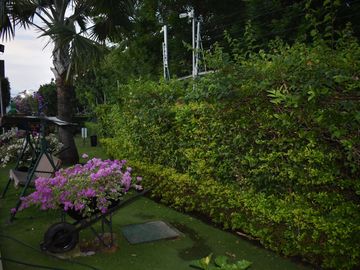place photo 17