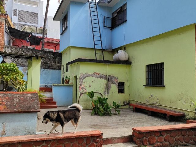 place photo 55