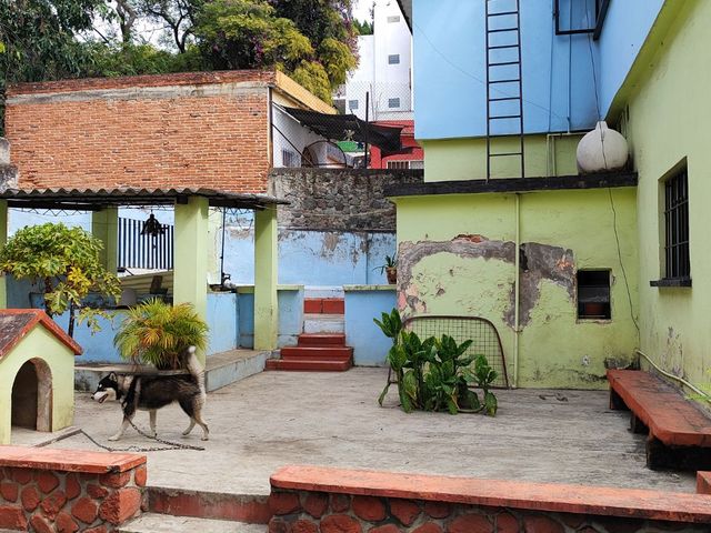 place photo 54