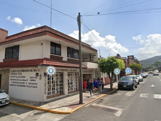 place photo 6