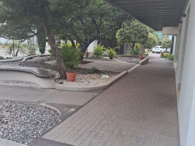 place photo 46