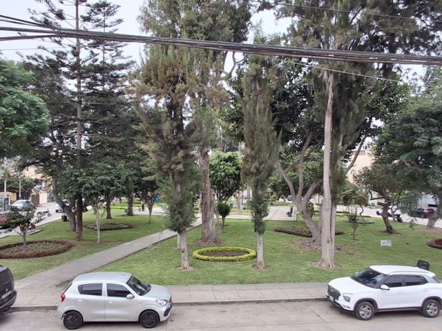 place photo 21