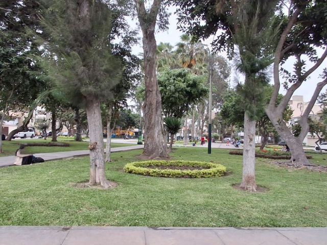 place photo 22