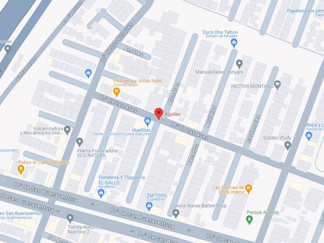 place photo 11