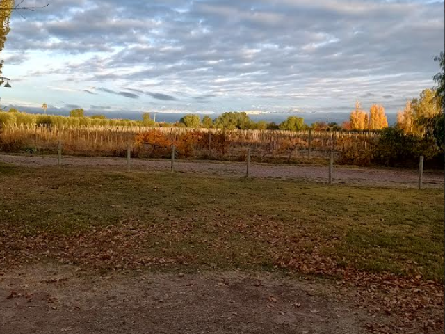 place photo 10