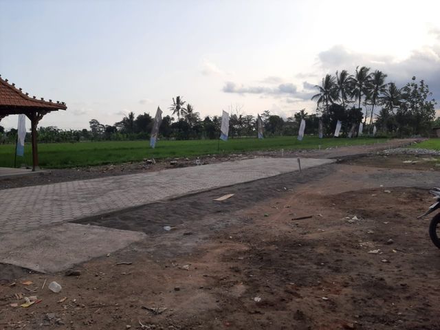 place photo 5