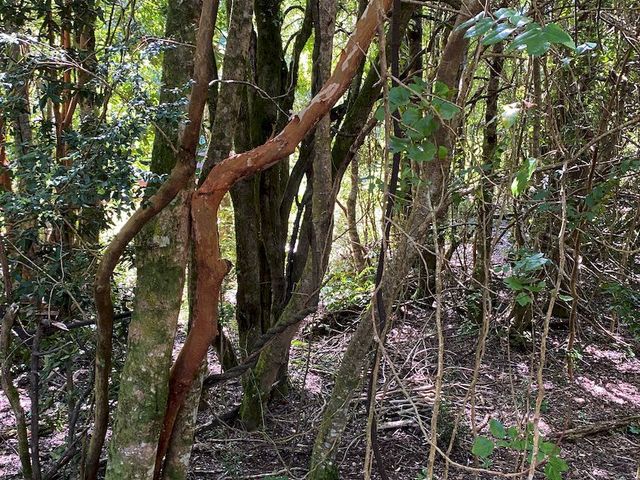 place photo 18