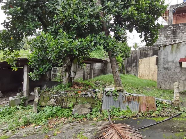 place photo 33