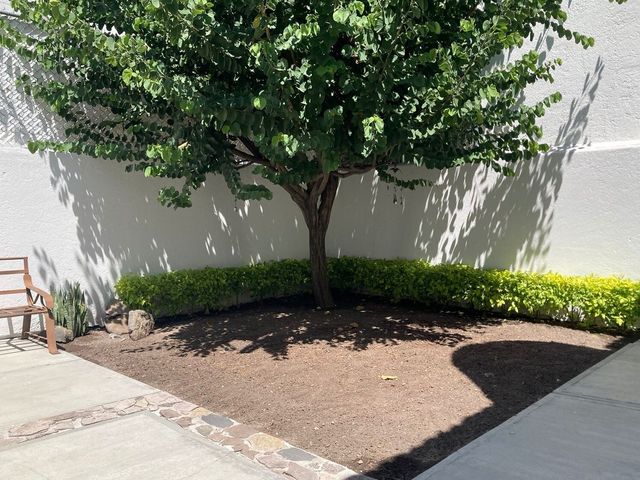 place photo 21