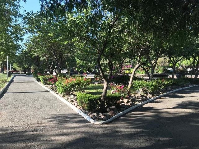 place photo 24