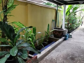 place photo 36