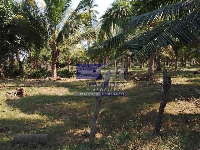 place photo 21