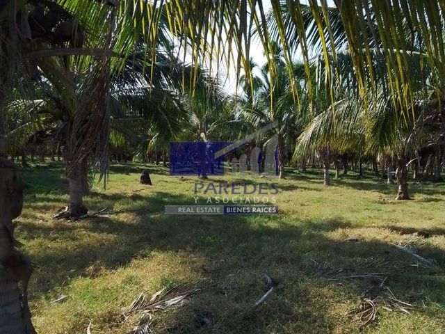 place photo 28