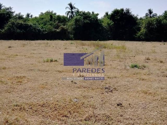place photo 39