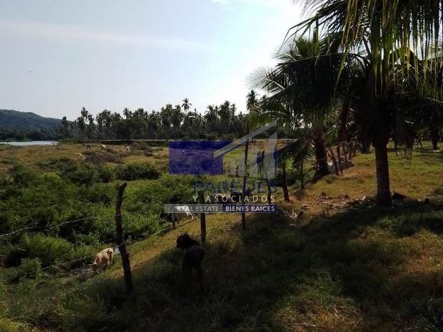 place photo 24