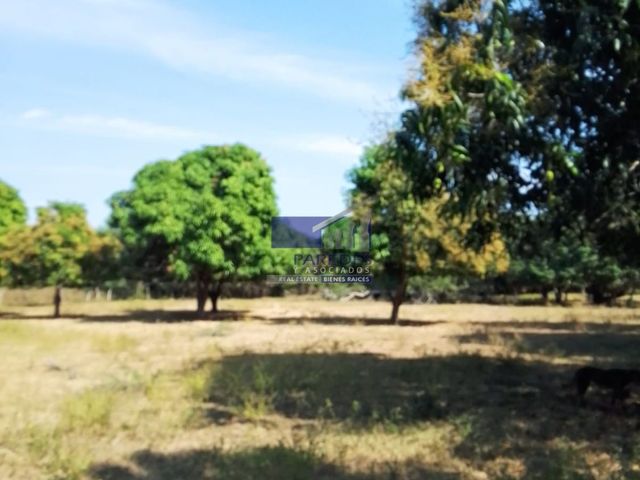 place photo 37