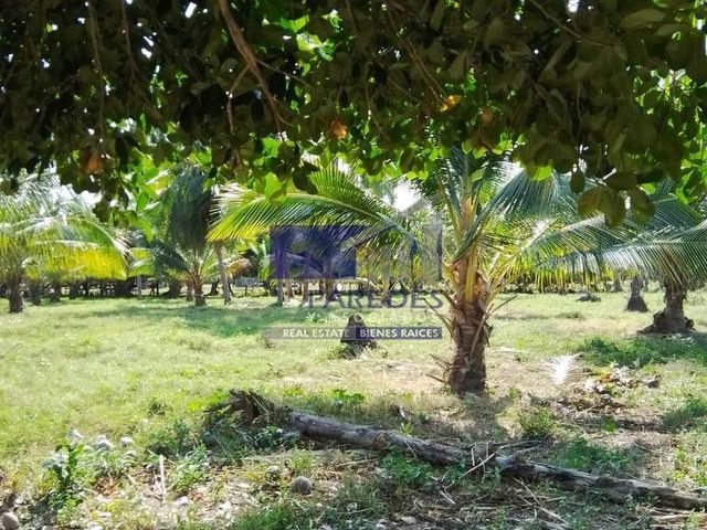 place photo 36