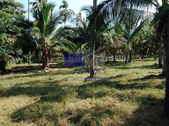 place photo 13