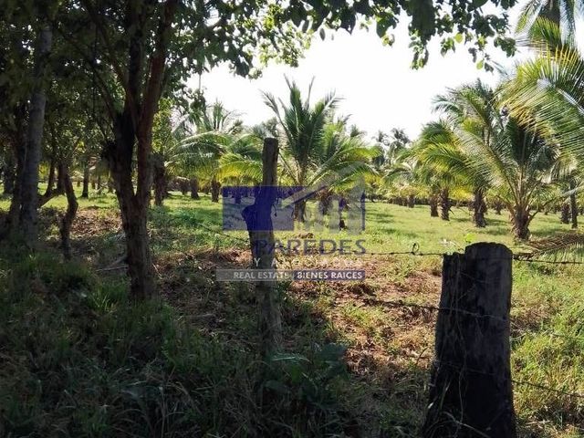 place photo 31