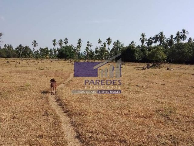 place photo 41