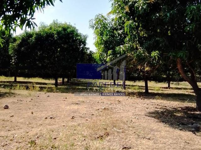 place photo 27