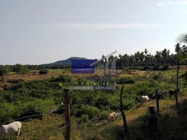 place photo 34