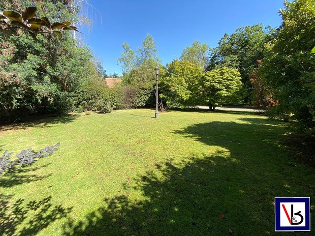 place photo 48