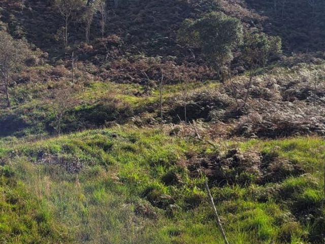 place photo 49