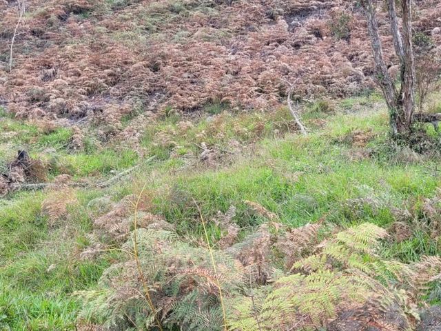 place photo 38