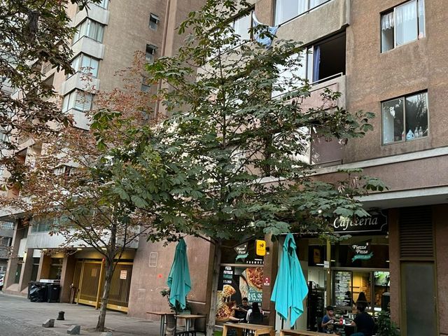 place photo 28