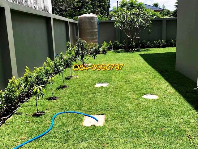 place photo 34