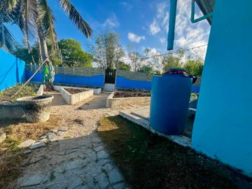 place photo 38